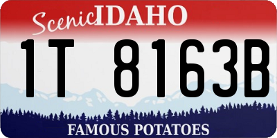 ID license plate 1T8163B