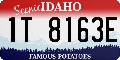 ID license plate 1T8163E