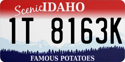 ID license plate 1T8163K