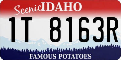 ID license plate 1T8163R
