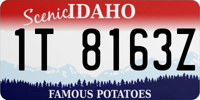 ID license plate 1T8163Z