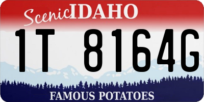 ID license plate 1T8164G