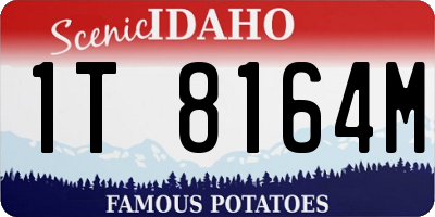 ID license plate 1T8164M