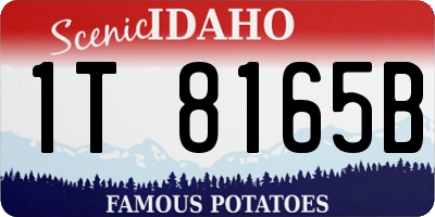 ID license plate 1T8165B