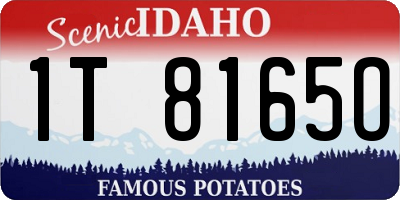 ID license plate 1T8165O