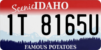 ID license plate 1T8165U
