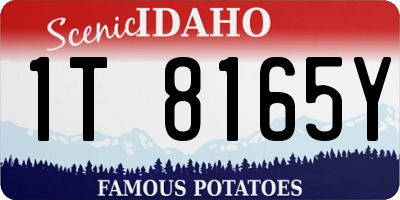 ID license plate 1T8165Y