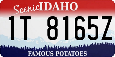 ID license plate 1T8165Z