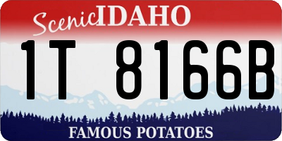 ID license plate 1T8166B