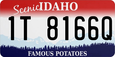 ID license plate 1T8166Q