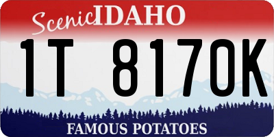 ID license plate 1T8170K