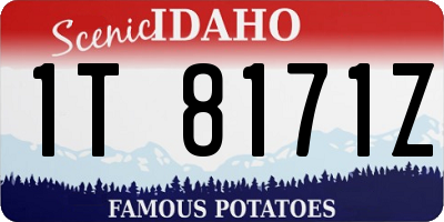 ID license plate 1T8171Z