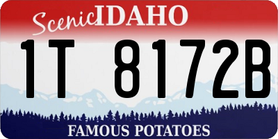 ID license plate 1T8172B