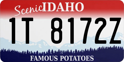 ID license plate 1T8172Z