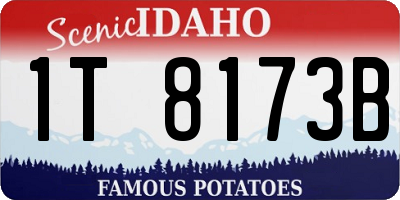 ID license plate 1T8173B