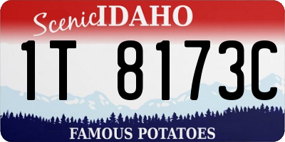 ID license plate 1T8173C
