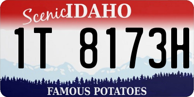 ID license plate 1T8173H