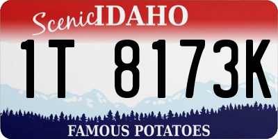 ID license plate 1T8173K