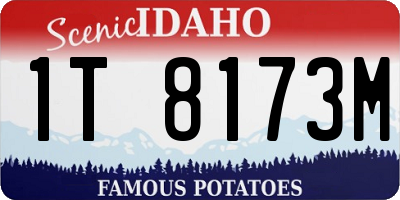 ID license plate 1T8173M