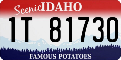 ID license plate 1T8173O