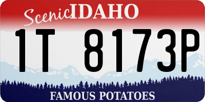 ID license plate 1T8173P
