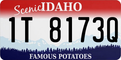 ID license plate 1T8173Q