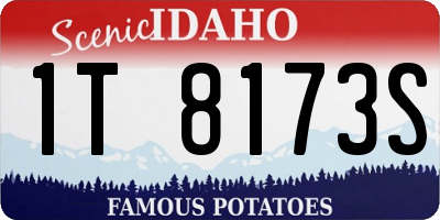 ID license plate 1T8173S