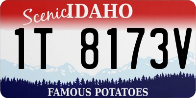 ID license plate 1T8173V