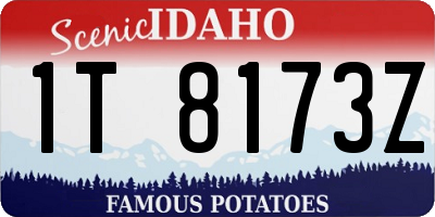 ID license plate 1T8173Z