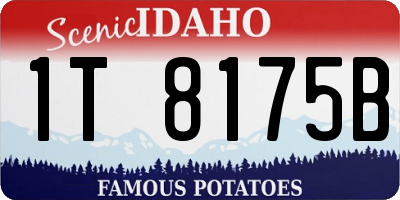 ID license plate 1T8175B