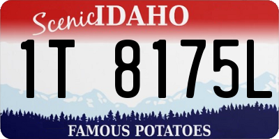 ID license plate 1T8175L
