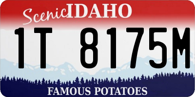 ID license plate 1T8175M