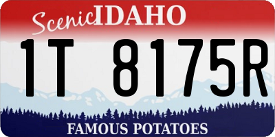ID license plate 1T8175R