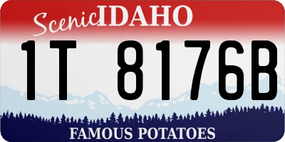 ID license plate 1T8176B