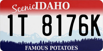 ID license plate 1T8176K
