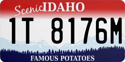 ID license plate 1T8176M
