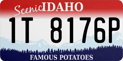 ID license plate 1T8176P