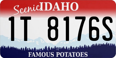 ID license plate 1T8176S