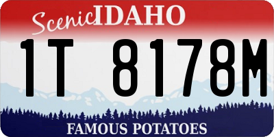 ID license plate 1T8178M
