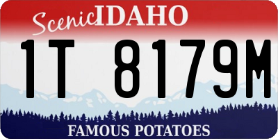 ID license plate 1T8179M