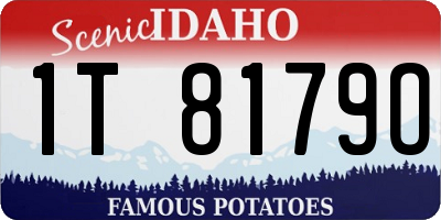 ID license plate 1T8179O