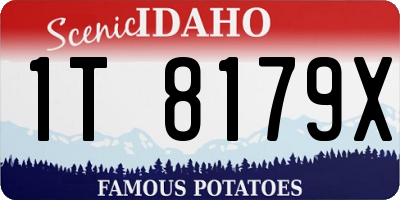 ID license plate 1T8179X
