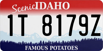 ID license plate 1T8179Z