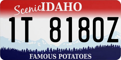 ID license plate 1T8180Z