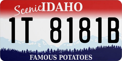 ID license plate 1T8181B