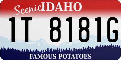 ID license plate 1T8181G