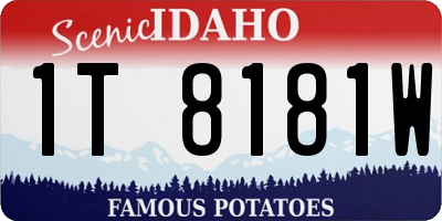 ID license plate 1T8181W