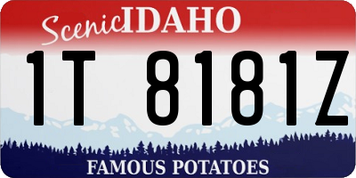 ID license plate 1T8181Z