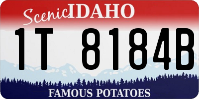 ID license plate 1T8184B
