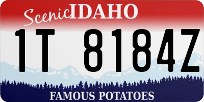 ID license plate 1T8184Z